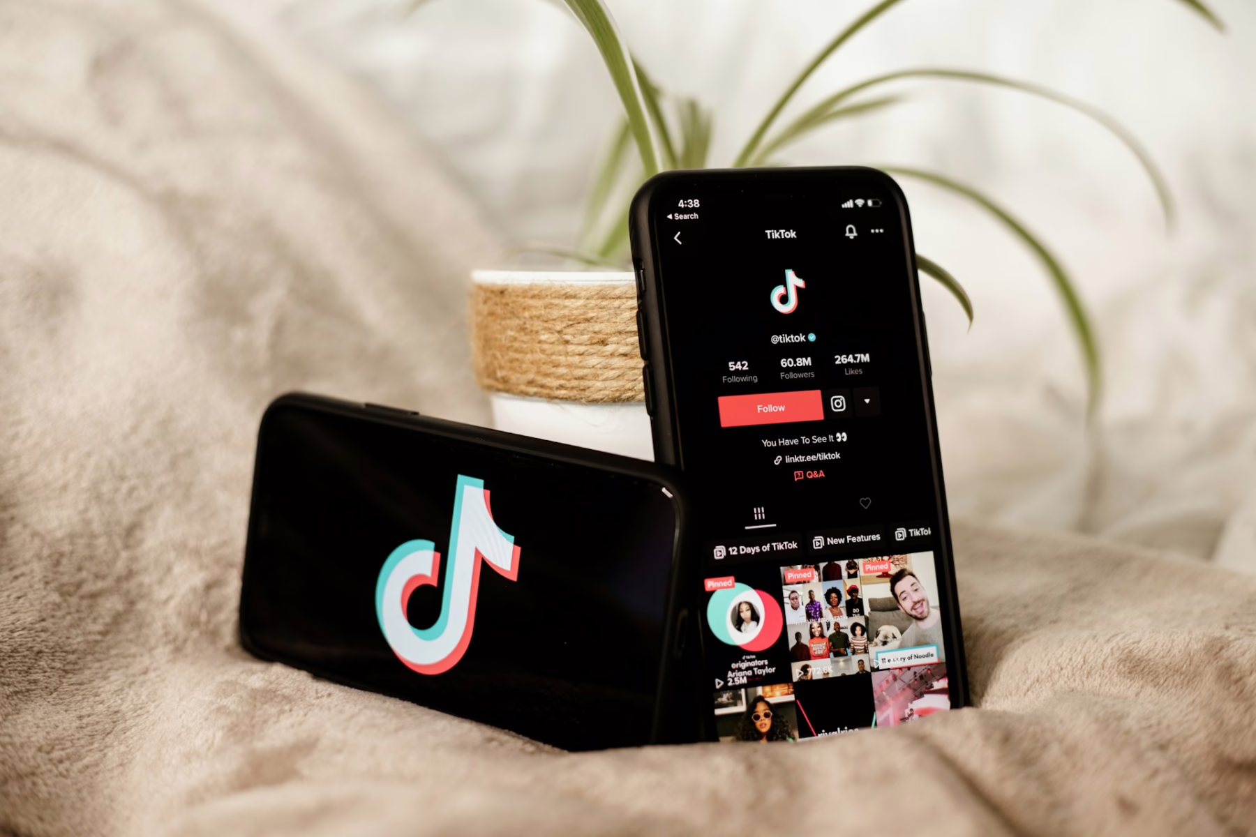 tiktok screen on a phone